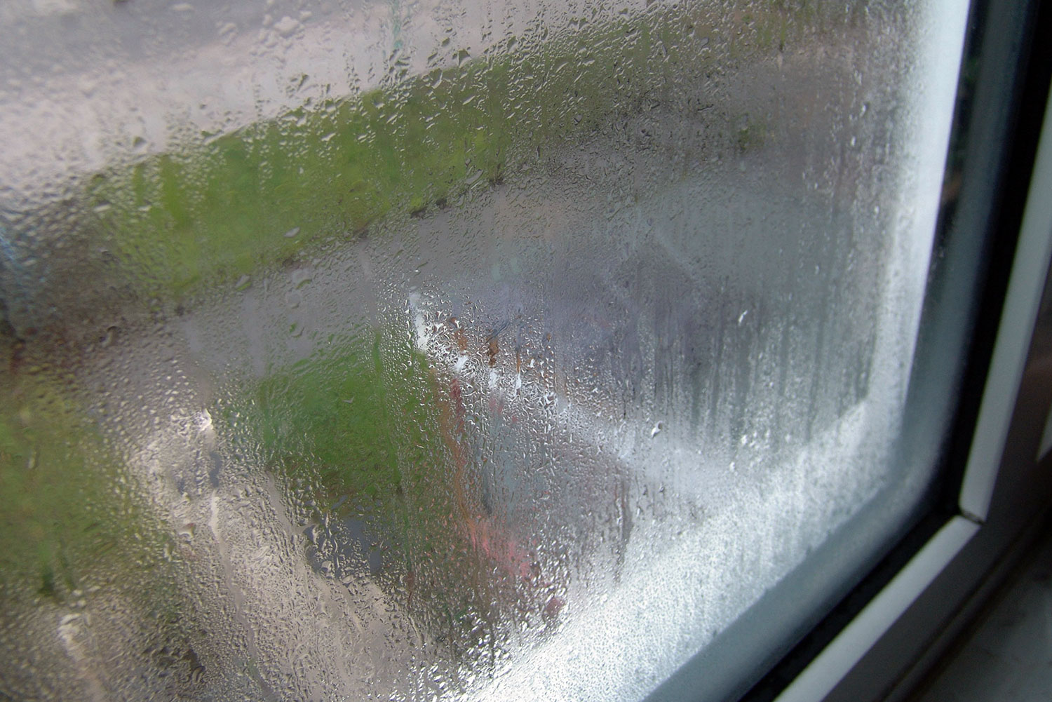 Commercial Foggy Windows