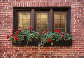 Replacing Your Home’s Exterior Foggy Windows