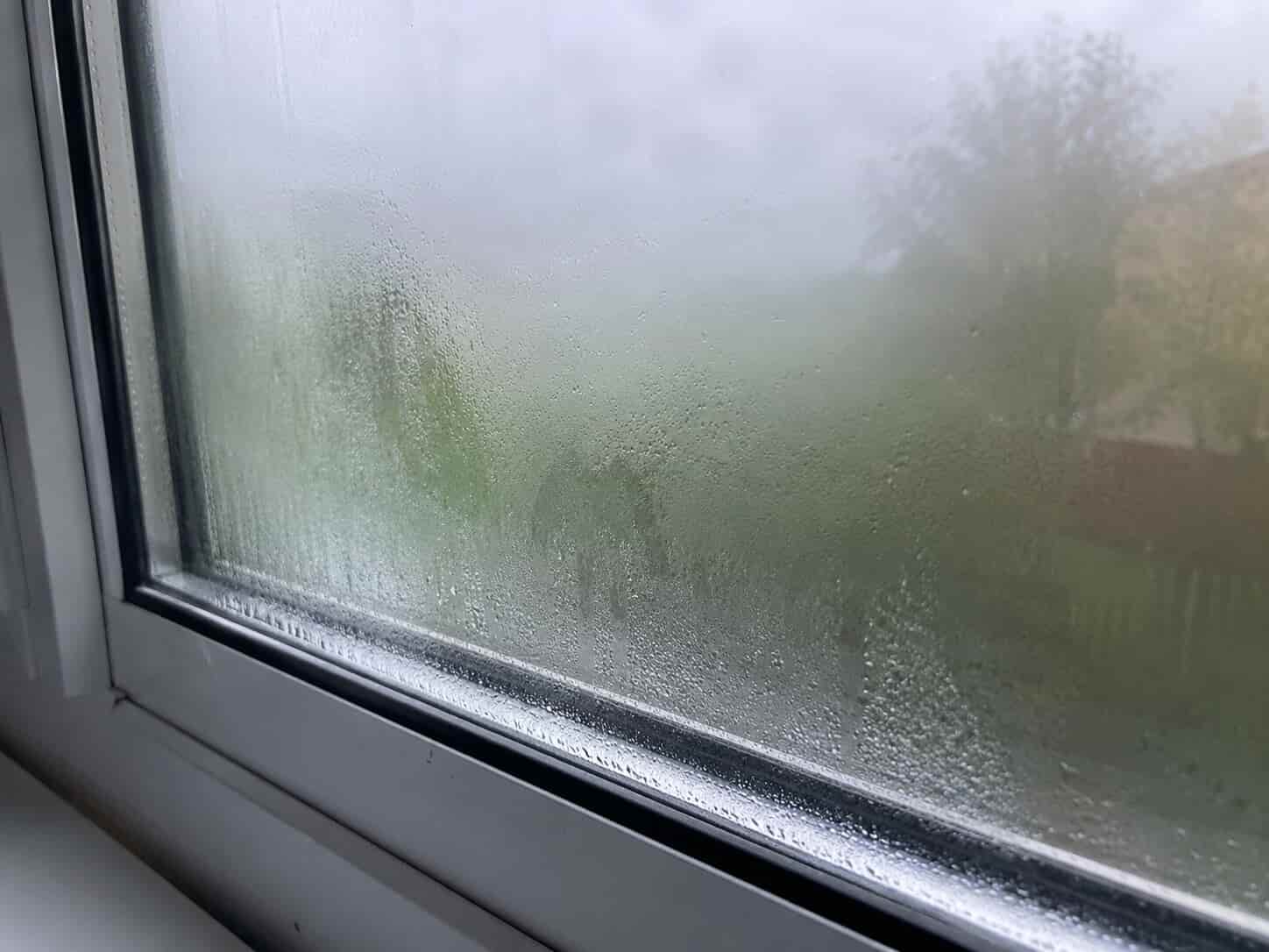 Close-up of a foggy double-pane window showing visible condensation and haze trapped between the panes