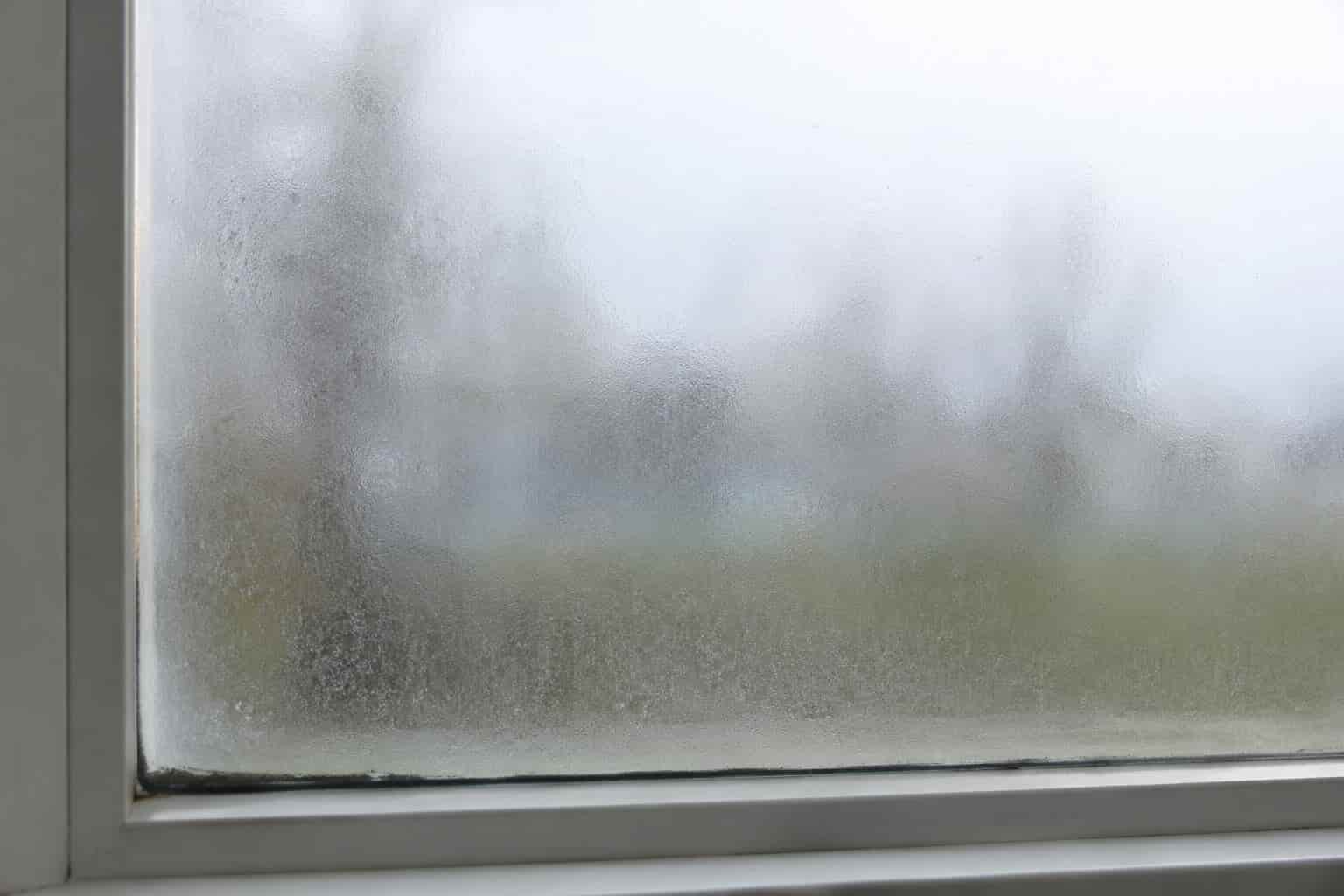 Close-up of a foggy window pane showing permanent condensation trapped between insulated glass layers